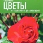 Садовые цветы.От красного до лилового
