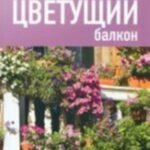 Цветущий балкон