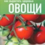 Как вырастить здоровые овощи