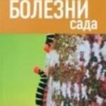 Болезни сада