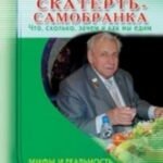 Скатерть- самобранка. Что, сколько, зачем и как мы едим