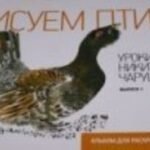 Уроки Никиты Чарушина. Выпуск 1. Рисуем птиц