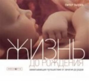Жизнь до рождения