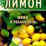 Лимон. Мифы и реальность
