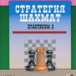 Стратегия шахмат.Практикум-2