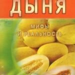 Дыня. Мифы и реальность