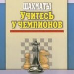 Шахматы. Учитесь у чемпионов