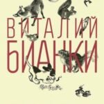 Лесные были и небылицы