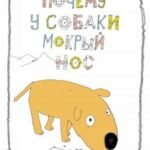 Почему у собаки мокрый нос