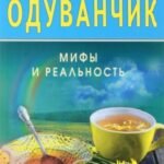 Одуванчик.Мифы и реальность