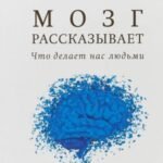 Мозг рассказывает.Что делает нас людьми (м/о)