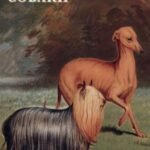 Собаки (набор из 15 открыток)