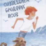 Под созведием бродячих псов
