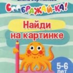 Найди на картинке. Для детей 5-6 лет