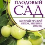 Плодовый сад. Богатый урожай яблок, вишни и сливы