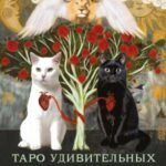 Таро удивительных кошек (80 карт и руководство в коробке)