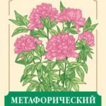 Метафорический портрет. Какое ты растение. Метафорические ассоциативные карты Анны Быковой