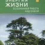 Энергия жизни.Осознная работа над собой