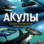 Акулы. Иллюстрированная энциклопедия