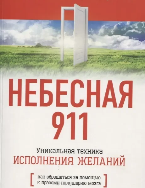Небесная 911. Как обращаться за помощью к правому полушарию мозга