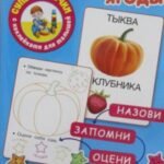 Овощи, фрукты, ягоды