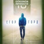 13 осколков личности. Книга сильных