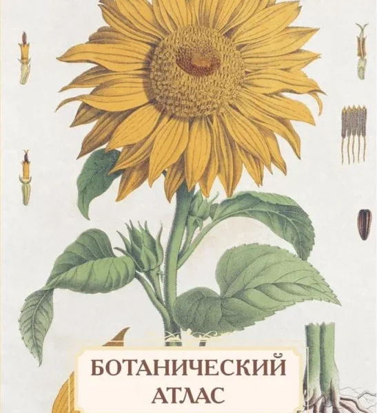 Ботанический атлас. Н.П. Животовский