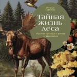 Тайная жизнь леса.Русская природа в фактах и зарисовках