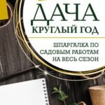 Весь год