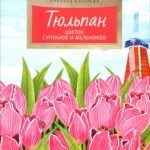 Тюльпан. Цветок султанов и мельников