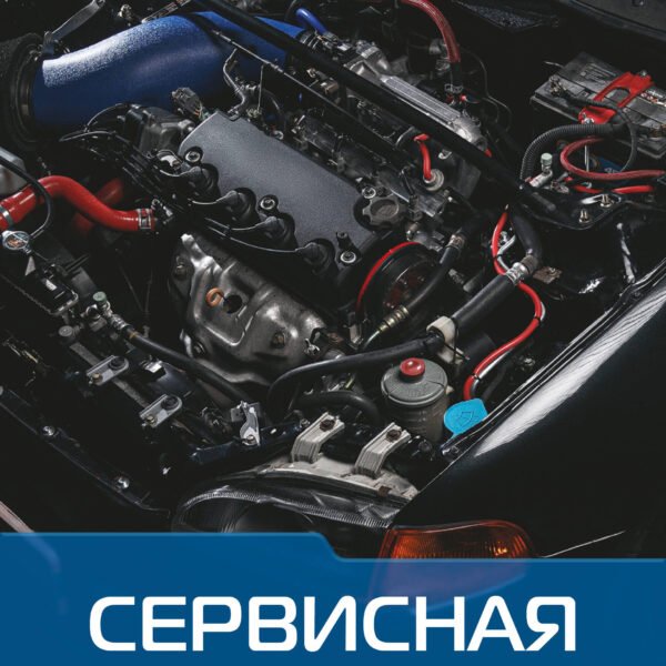 Сервисная книжка (на проволоке)