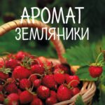 Аромат земляники. Светлые рассказы и дачные зарисовки