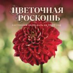 Цветочная роскошь. Календарь настенный на 2027 год (300х300 мм)