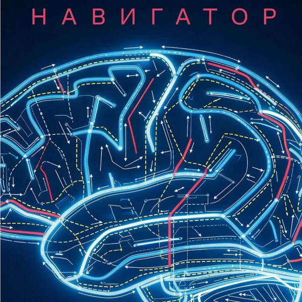 Мозг-навигатор: Как мы ориентируемся в пространстве и почему сбиваемся с пути