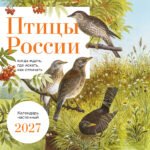 Птицы России: когда ждать, где искать, как отличать. Календарь настенный на 2027 год (300х300 мм)
