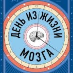 День из жизни мозга: Что происходит в голове, пока мы спим, работаем и пьем кофе