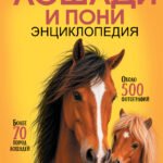 Лошади и пони