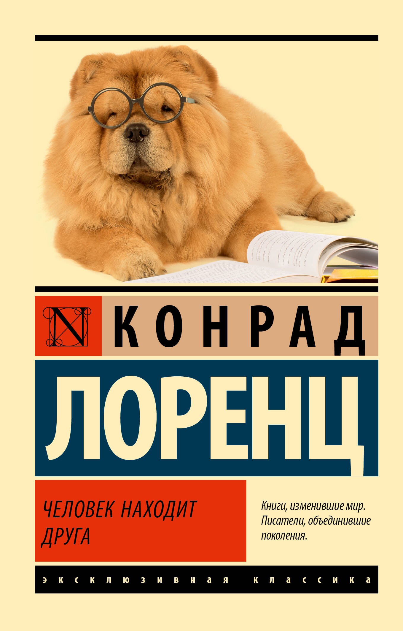Человек находит друга Человек находит друга - Image 1