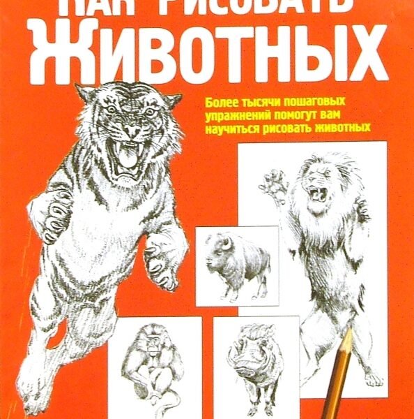 Как рисовать животных