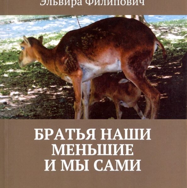 Братья наши меньшие и мы сами