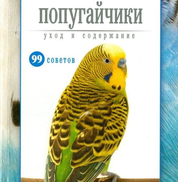 Волнистые попугайчики. Уход и содержание