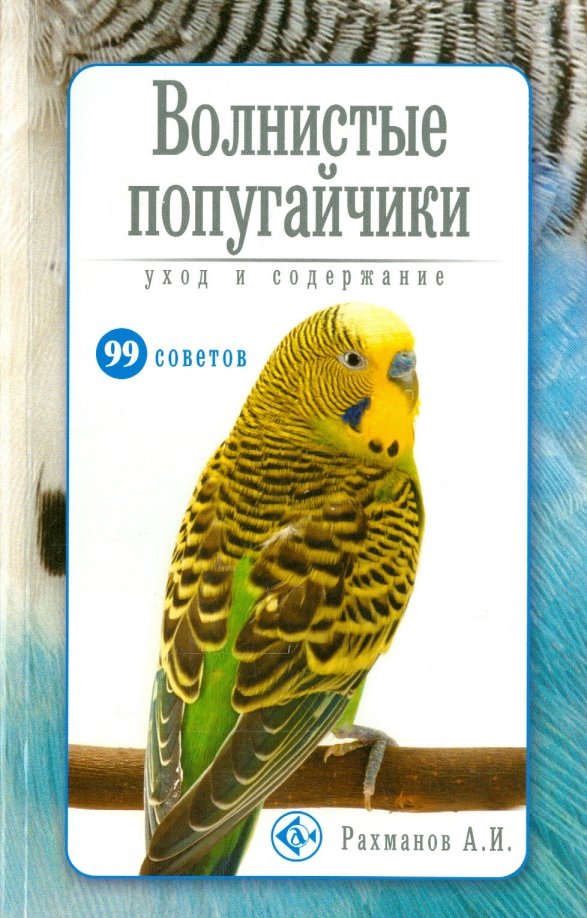 Волнистые попугайчики. Уход и содержание Волнистые попугайчики. Уход и содержание
