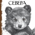 Бродяги Севера