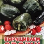 Выращиваем овощи