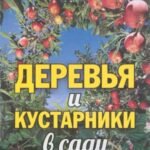 Деревья и кустарники в саду