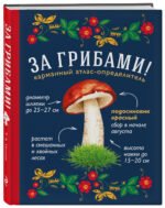 За грибами. Карманный атлас-определитель