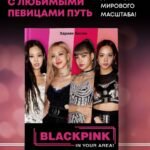 BLACKPINK in your area! Биография самых популярных К-РОР див