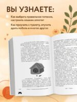 КОТоЛОГИКА. О чем молчит кошка