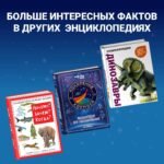 Я знаю все!