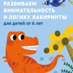 Развиваем внимательность и логику. Лабиринты: для детей от 6 лет